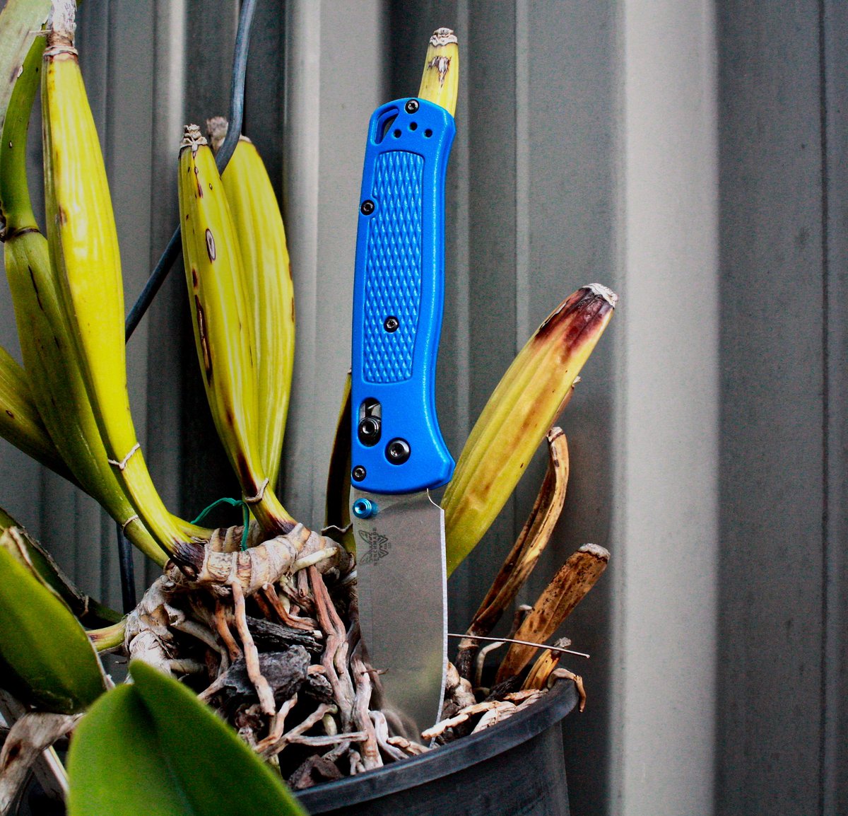 EdcOutdoors's tweet photo. Getting my Bugout fixed soon!
Can’t wait to have a lightweight in my pocket again. 
#edc #edcgear #edclife #edccommunity #PhotoOfTheDay #photography #photo #PictureOfTheDay #benchmade #benchmadebugout https://t.co/kuKdK0HR9Q