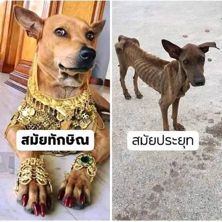 10oneten's tweet photo. #นักศึกษาปลดแอก  ยิ่งอยู่ ยิ่งลำบาก https://t.co/3uEmtcE85W