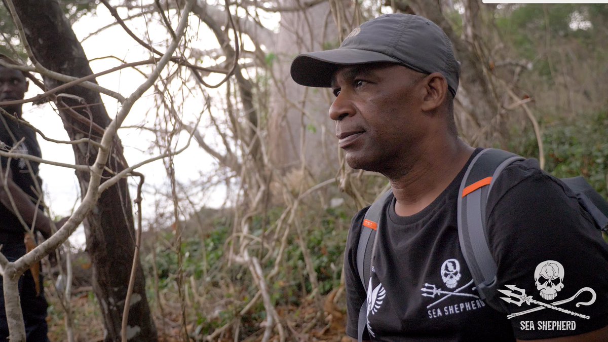 SeaShepherdFran's tweet photo. Braconnage de tortues à Mayotte, un défenseur des tortues grièvement blessé à la tête. Ali n'est plus en danger ce matin mais la nature des séquelles potentielles n'est pas encore déterminée => https://t.co/TAsTZA4SK3 @Ecologie_Gouv #Mayotte #Braconnage https://t.co/SHb6bkPtl1