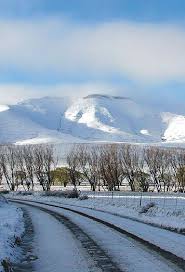 Unathi Sonwabile Henama tweet media