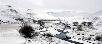 Unathi Sonwabile Henama tweet media