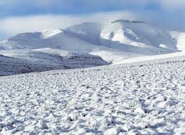 Unathi Sonwabile Henama tweet media