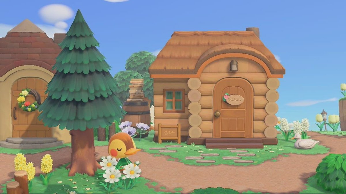 good morning to molly only #acnh #animalcrossing #animalcrossingnewhoizons