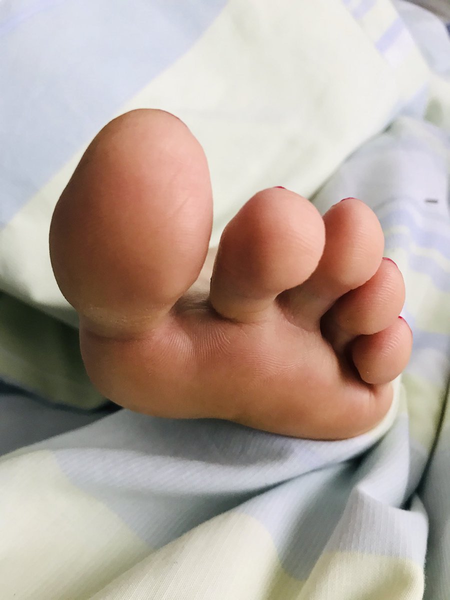 gs_sepi's tweet photo. Good morning!!! 😛😛😛
#footfetish #feetfetish #cutefeet #sexysoles #wrinkledsoles #oiledsoles #softsoles #sexysoles #footworship #footboys #footcontent #feetcontent #paypig https://t.co/4FPjoySDBk