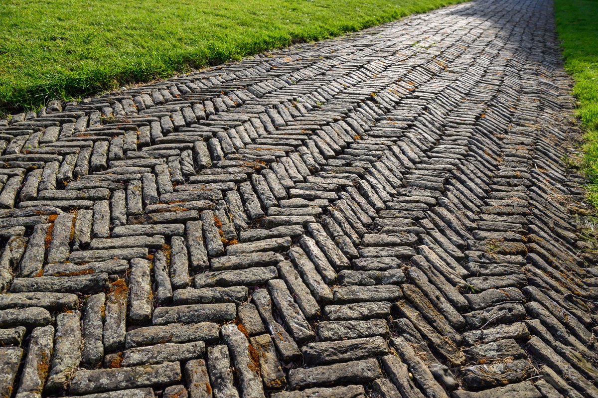 HarrisonPhair's tweet photo. Wonderful characterful #brick #path
#Rainham #Hall #gardens @RainhamHallNT #Essex @nationaltrust
#london #heritage #nationaltrust #rainhamhall #clay #bricks #chooselandscape #plants #character #paviors #anthonydenney #heritage #aged
@YVESWAUTHIER
@NikonatGrays
@VisitEssex https://t.co/ZTx6Z1MpiM