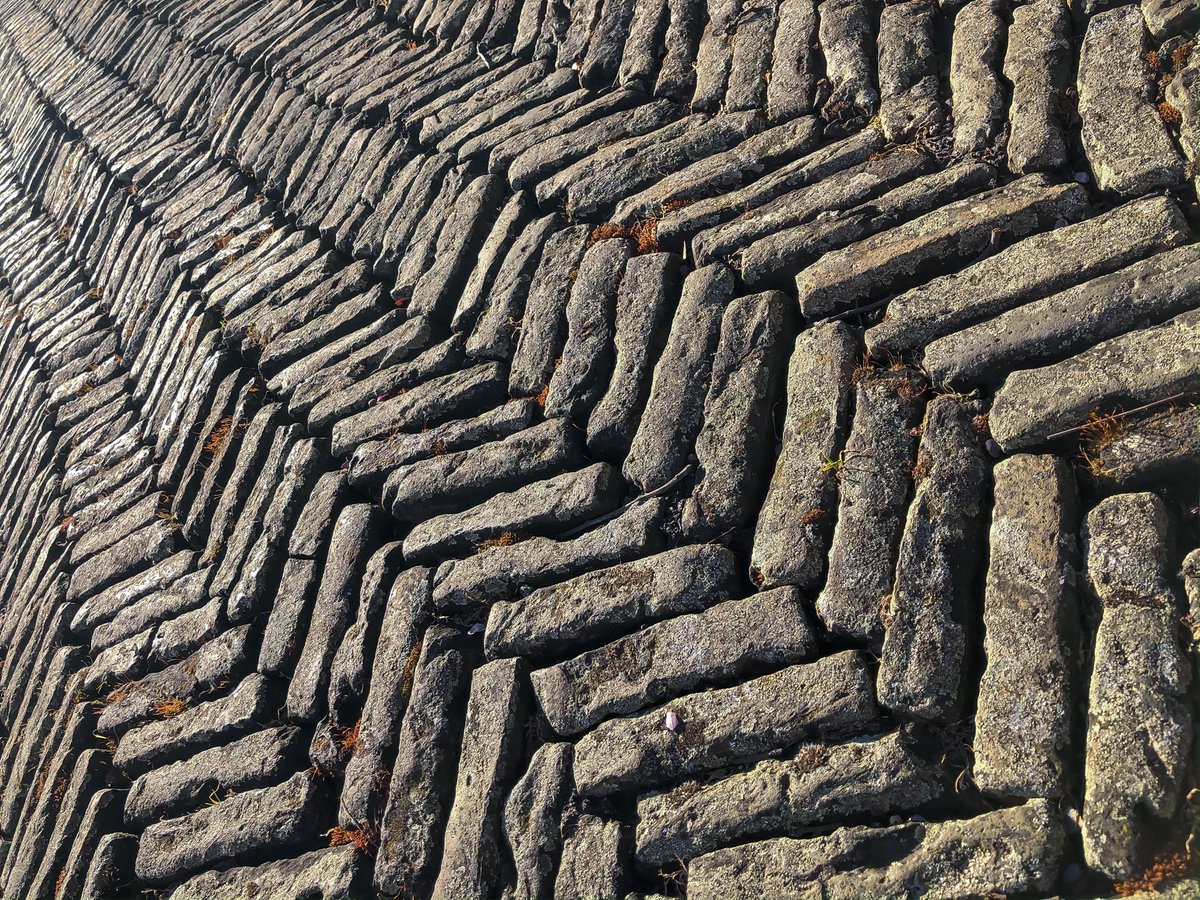 HarrisonPhair's tweet photo. Wonderful characterful #brick #path
#Rainham #Hall #gardens @RainhamHallNT #Essex @nationaltrust
#london #heritage #nationaltrust #rainhamhall #clay #bricks #chooselandscape #plants #character #paviors #anthonydenney #heritage #aged
@YVESWAUTHIER
@NikonatGrays
@VisitEssex https://t.co/ZTx6Z1MpiM