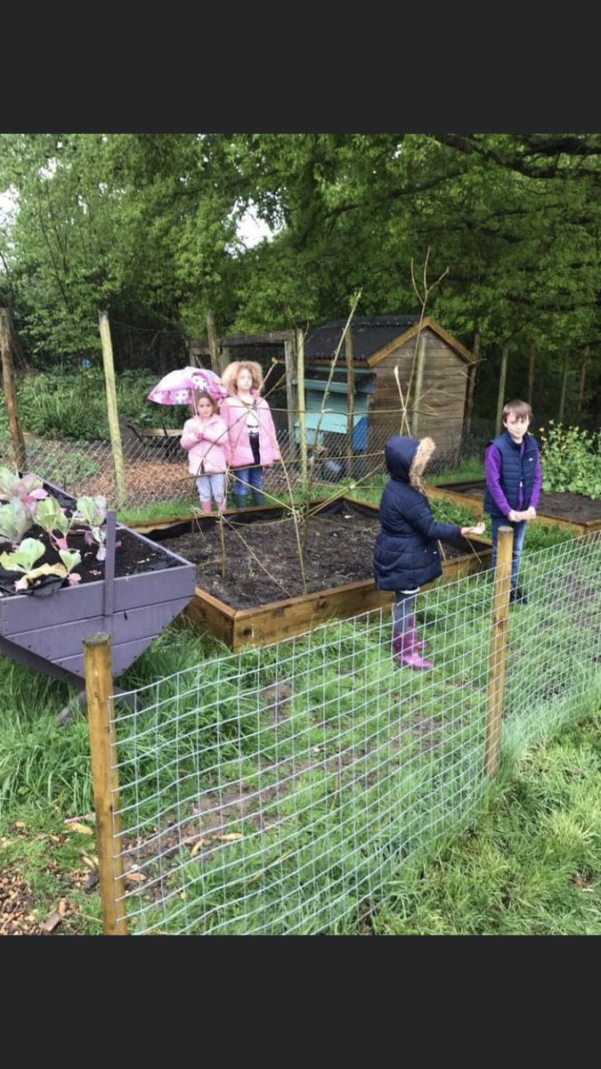 Northiam CE Primary tweet media