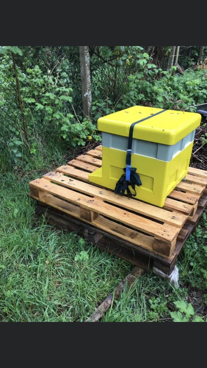 Northiam CE Primary tweet media