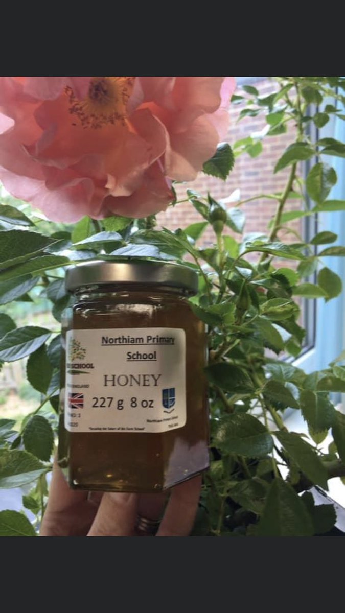Northiam CE Primary tweet media