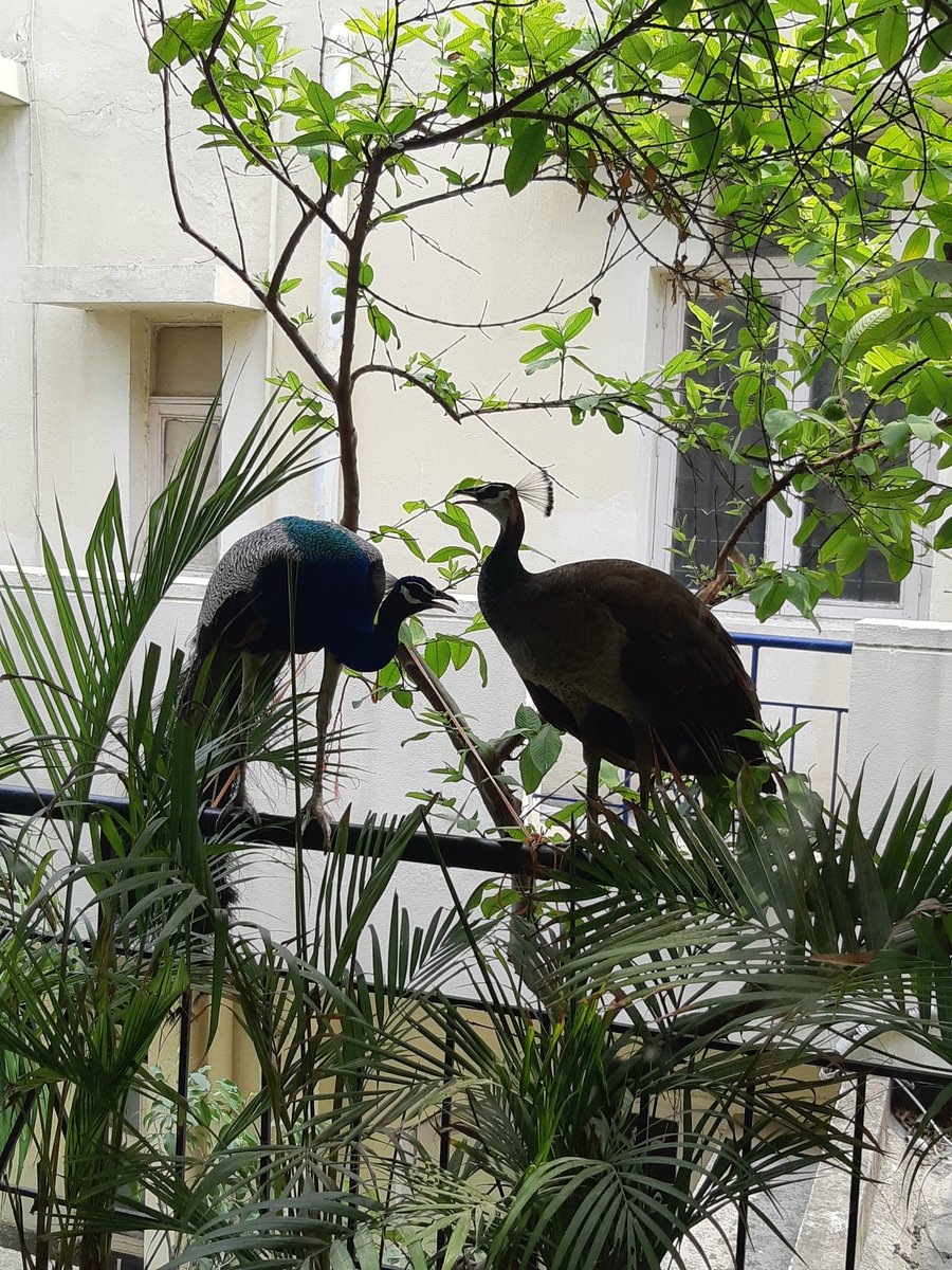 anubk68's tweet photo. हाले दिल हमारा
जाने न बेवफा
ये ज़माना .....
#RegularVisitor https://t.co/JEOF3I5Gx5