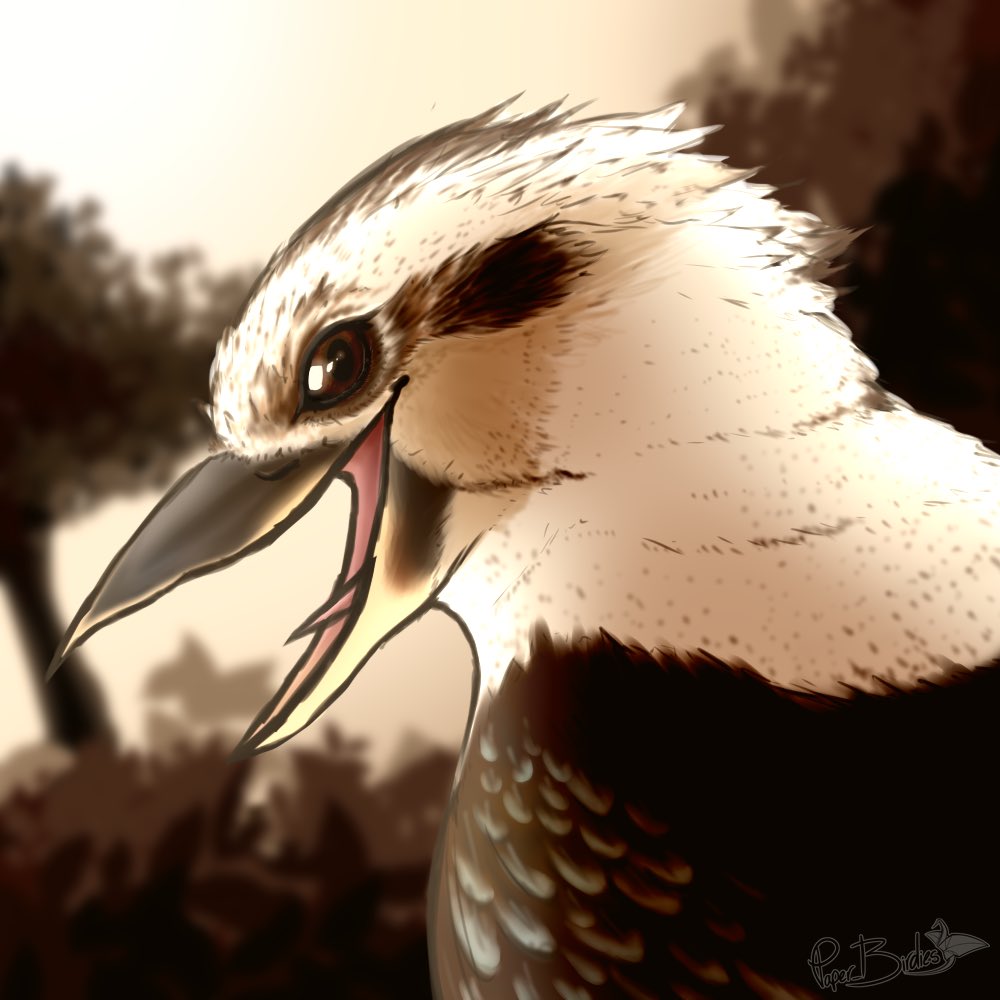 FloofyRedBoi's tweet photo. I just want to take moment to support an amazing a friendly artist who I absolutely love with a passion! Please go and follow @paper_birdies and give her support, I’d really appreciate it and so would she <3<3<3 https://t.co/qeqBdm6ONF