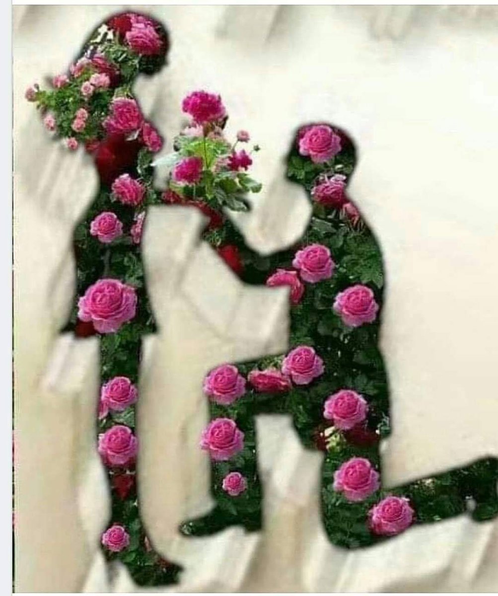 Mikejo39454458's tweet photo. @LayanalshUili90 https://t.co/amlqgxs7EJ
