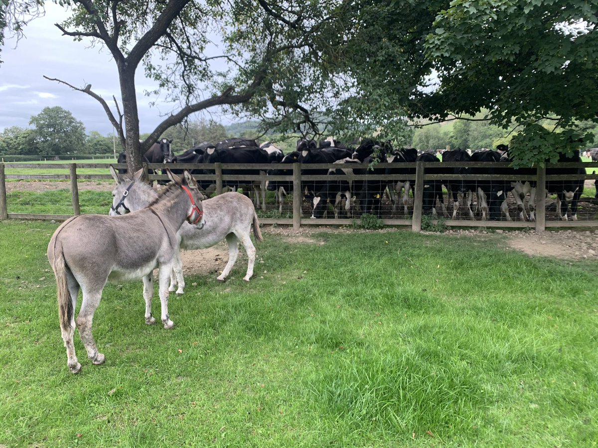 LlewWilliams's tweet photo. The current stand off... https://t.co/SGyjt79aoj