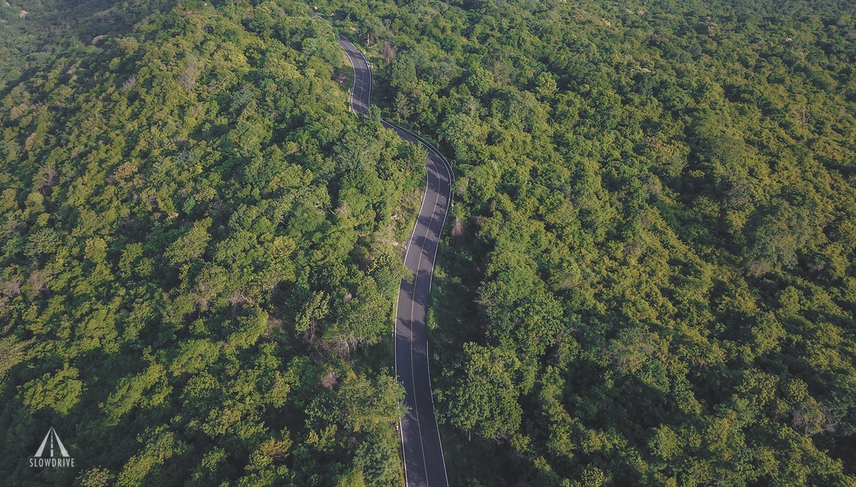 SlowDriveTH's tweet image. ถนนลอยฟ้าลพบุรี ที่ลับๆแต่สวยมาก ได้อารมณ์เหมือนขับรถอยู่น่าน  #ออกไปสโลว์ไดฟ์กัน🛤️

📌 เขาพระยาเดินธง

#SlowDrive #ขับรถเที่ยว #ReviewThailand  @Review_Thailand #travel #เที่ยวไทย #เที่ยวไทยเท่ #ลพบุรี #รถตู้เล็ก #minivan

youtube ➡️ youtu.be/RlfK1Oz1juc