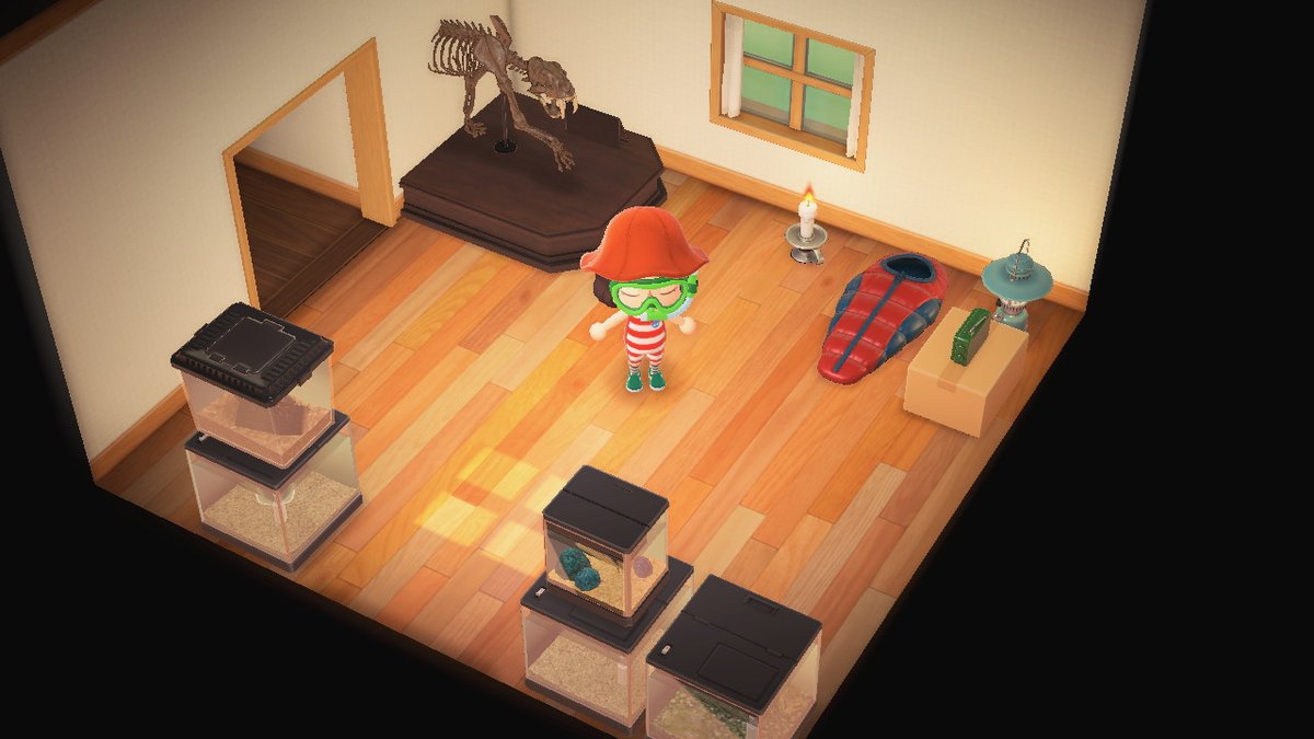 ferrins00's tweet photo. #AnimalCrossing #ACNH #NintendoSwitch https://t.co/fNljD5PBOF