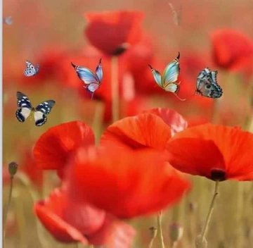 وفي صمتها كلمات تخترق شرايين كثيرة ولونها يداعب كل المشاعر.