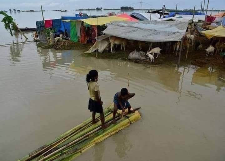 RajeshS69996207's tweet photo. @CarryMinati 😥#Pray_for_Assam🙏
KAZIRANGA FLOOD SITUATION: https://t.co/FsYRReD20F