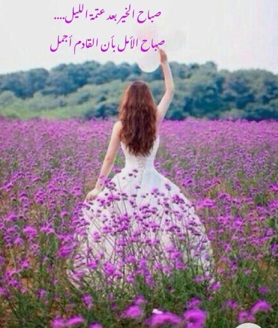 .. (@czp_oc) on Twitter photo 
