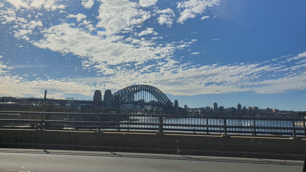17/ Things are strangely normal in Sydney. Cars are everywhere. People spill out of cafes onto the sidewalks. Gyms are open. It’s T-shirt weather. Groups gather in parks in the sunshine with no social distancing. No one seems to realise how lucky they are. I’m jealous.