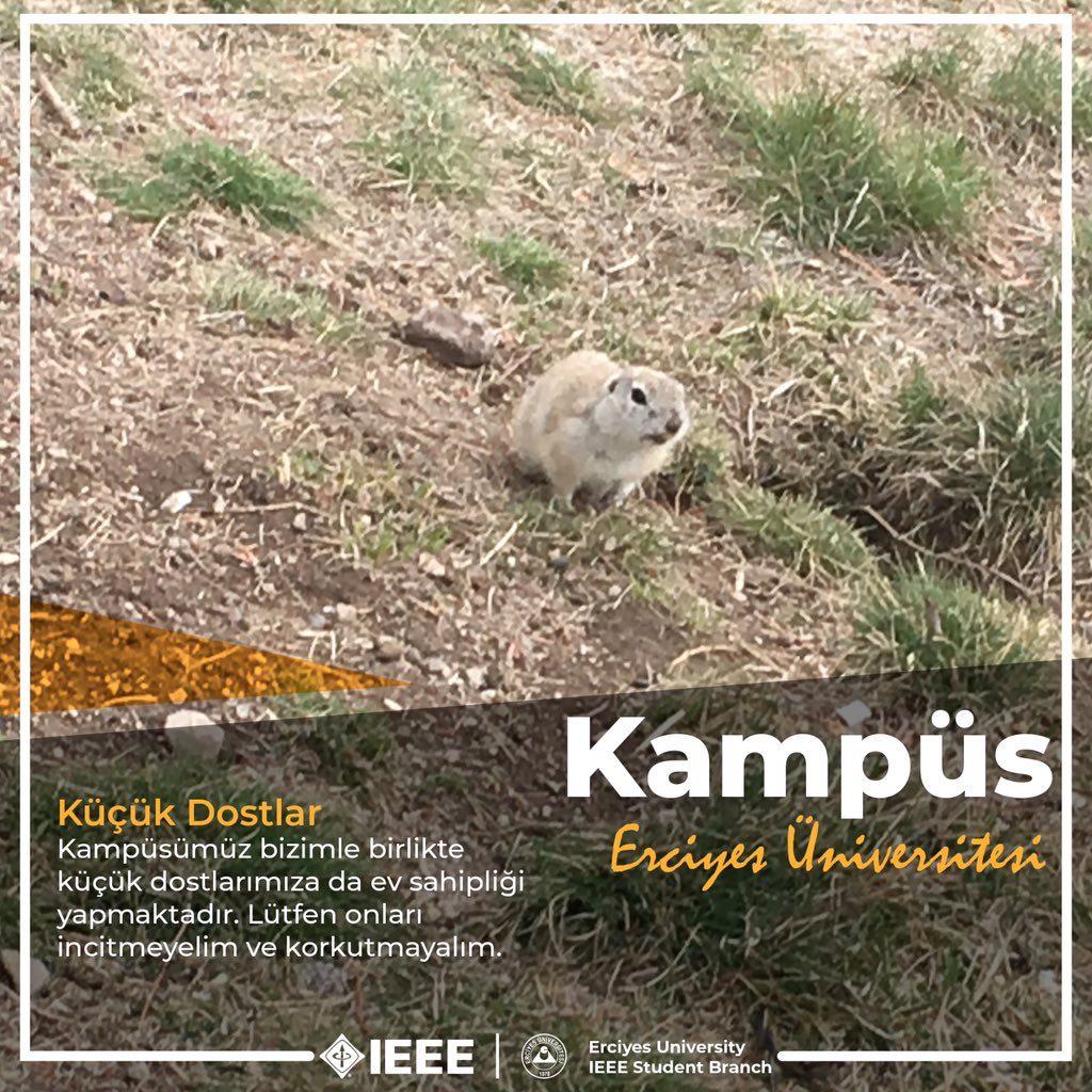ieeeeru's tweet photo. 2019 - 2020 döneminde sınava girmiş ve Erciyes Üniversitesini de tercih etmeyi düşünen arkadaşlar; sizler için ufak bir bilgilendirme hazırladık. @RektorProfCalis #erciyesüniversitesi #eru #erumuhendislik #muhendislik #2020tyt #ayttercih #tyttercih #muhendislikfakultesi https://t.co/gkfGqv9VRQ