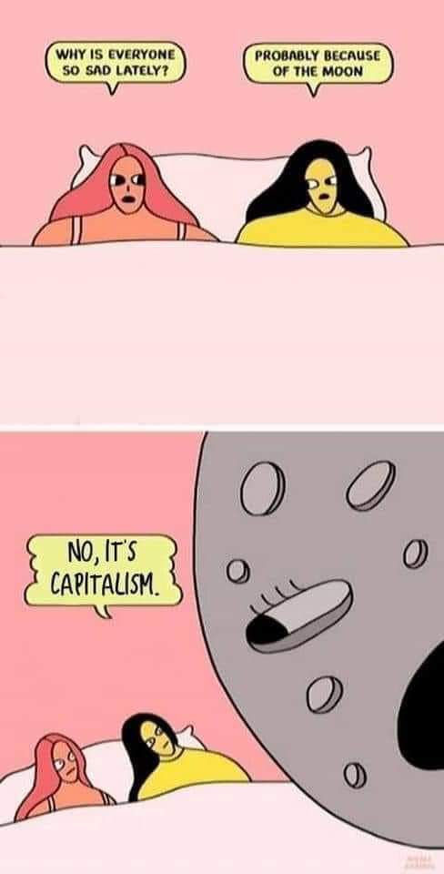 hunterhansberry's tweet image. 