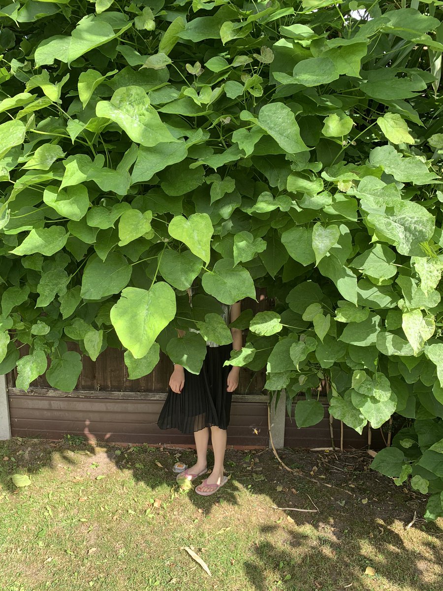 I said: ‘Stand next to the tree and I’ll take your picture.’