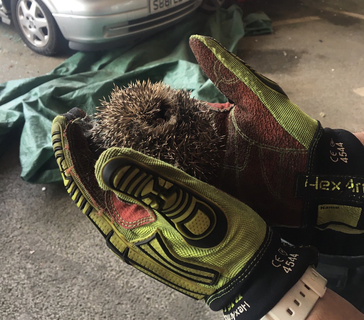 Whilst shifting round the RTC training compound, Rewley Road White watch have a new recruit! Now a resident on the banks of the Oxford Canal😊#oxfordcityfire #bbowt