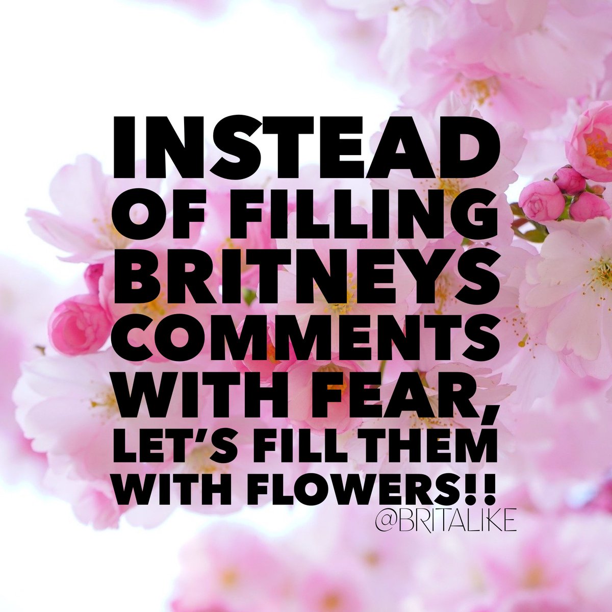 So, I had an idea... let’s show Britney our love and support with virtual flowers - we all know she loves them and they make her so happy - so instead of posting “do this if your not ok” etc... let’s make her smile the way she has made us smile through our difficult times!