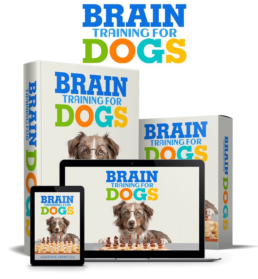 Shib_burn_1's tweet photo. Do you have your dream dog yet? Get started today. #mydog #dogloves #trainingfordogs #dogcute https://t.co/Z2wqaKGVXV