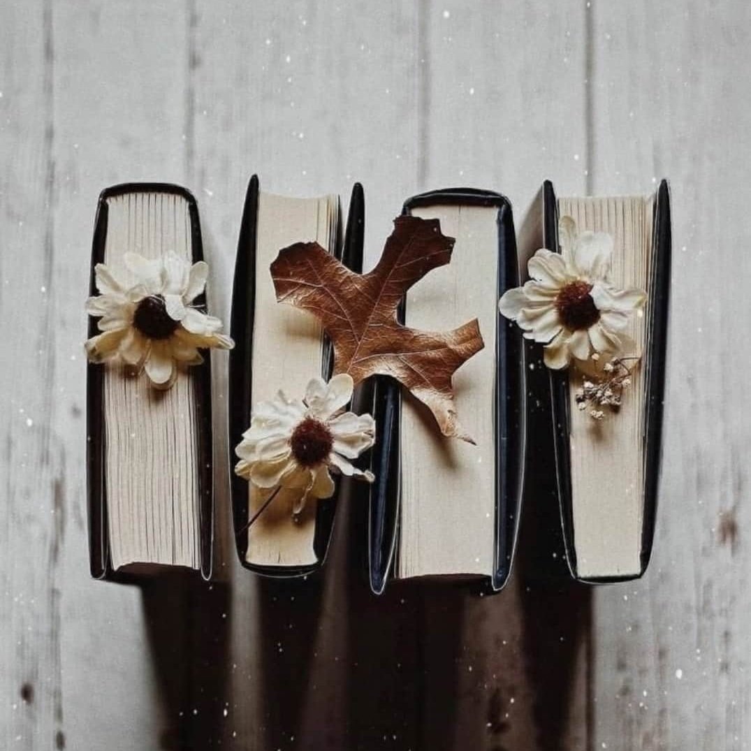 tUba_NaSsiR's tweet photo. Please, keep writing. Keep drawing. Keep painting. Please keep making your art no matter how many may try to push you down. The world does not have nearly enough artists.
- Note to Others
#Readingstabbing
#readAwrite
#seekingKnowledge https://t.co/Ga5EFITect
