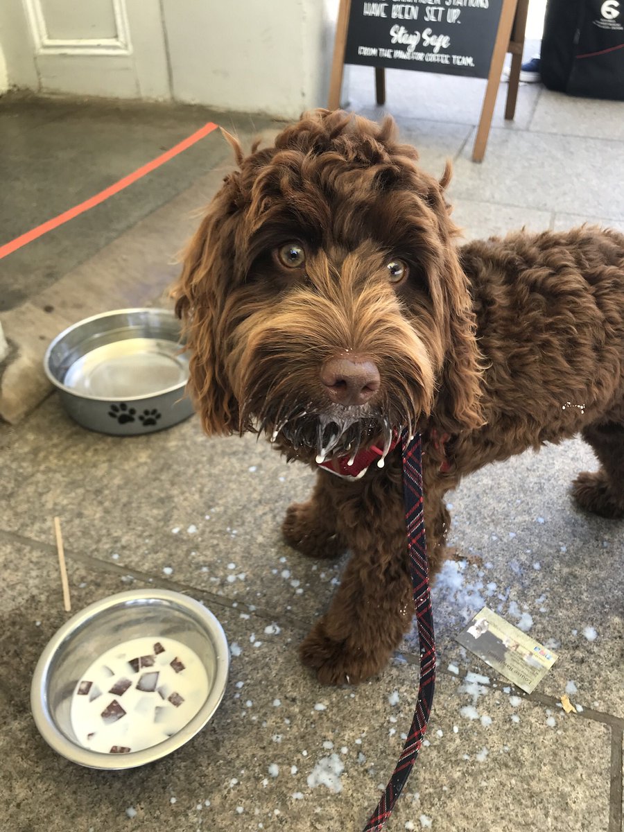 Kerry Crawshaw tweet media