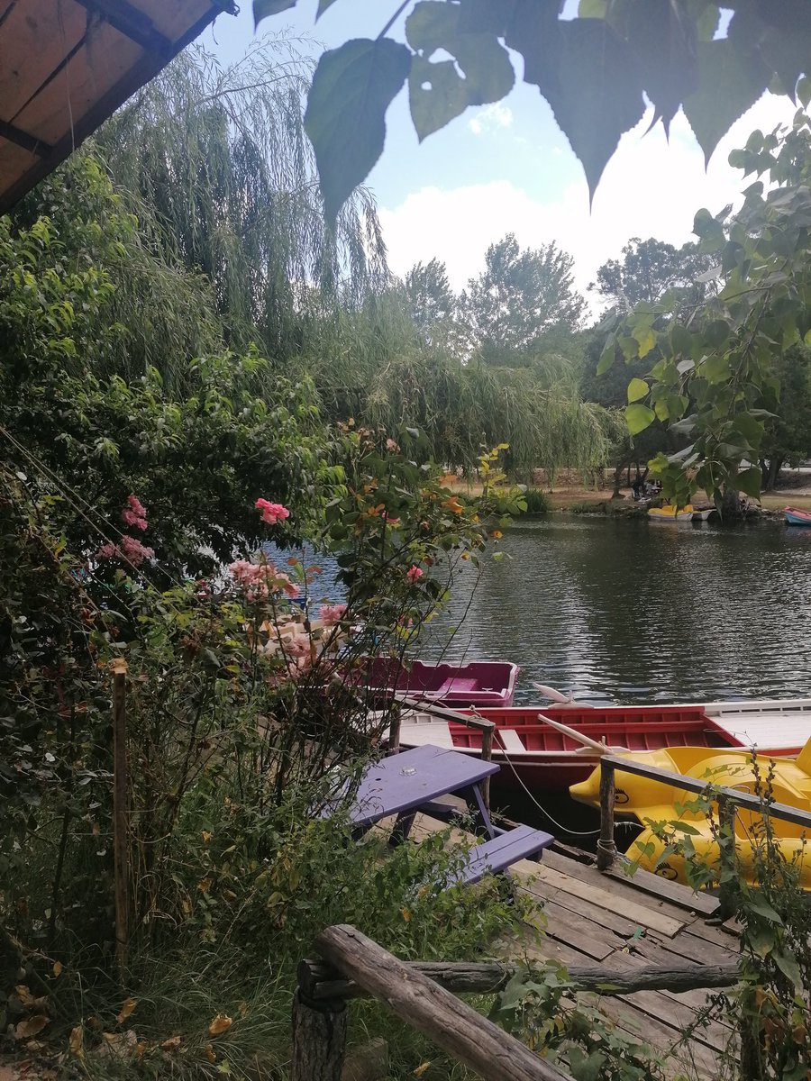 Günaydın olsun, huzura açılsın pencereniz🏘️ #pazar #pabuçderesi