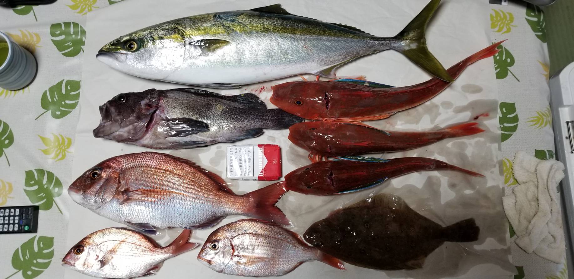 たいやきのみむたん 弟子とテンヤの釣果 弟子に青物 真鯛釣らすミッションコンプリート ヽ 自分の釣果は ホウボウ2 小さい鯛2 カレイ1 あとベラ数匹 W ショボい笑 途中でスピナーベイトなげて遊んだせいかな でも楽しかった ヽ