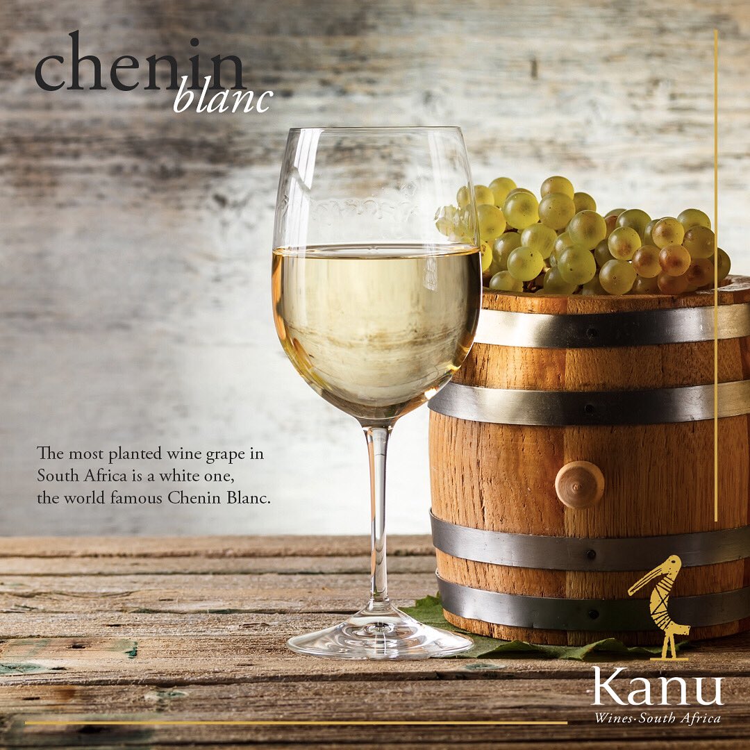 KanuWines's tweet photo. Fun fact of the day 🥂 cheers guys have a beautiful Sunday #cheninblanc #whitewine #vino #stellenbosch #kanuwines #southafrica #winelands #vineyards https://t.co/vQKYnnCUHU