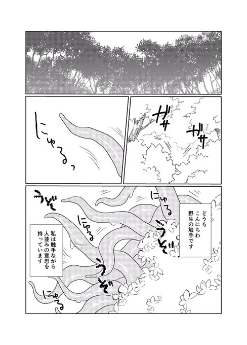 アンケート結果のしょくしゅ漫画です(ちょぎくに)
⚠︎しょくしゅが出てきます
① 