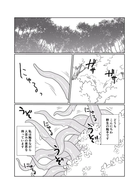 アンケート結果のしょくしゅ漫画です(ちょぎくに)
⚠︎しょくしゅが出てきます
① 