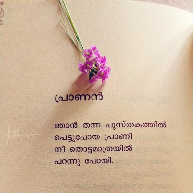 AthiraSarag's tweet photo. പ്രാണൻ പകരുന്നു നൽകുന്നവൻ... 
#veerankutty #malayalamkavithakal #malayalambooks #poetry https://t.co/h2abK2CH3H