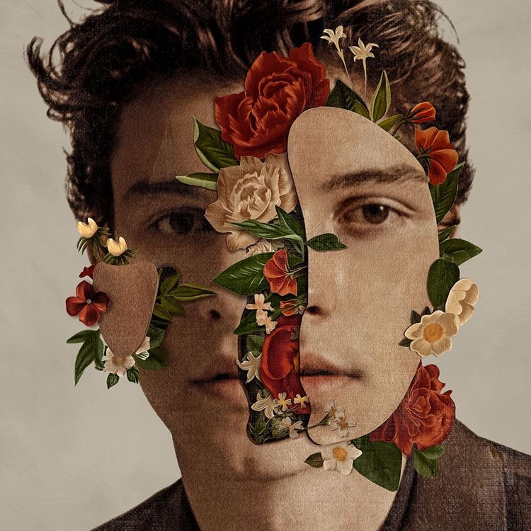 top 3 from shawn mendes by shawn mendes