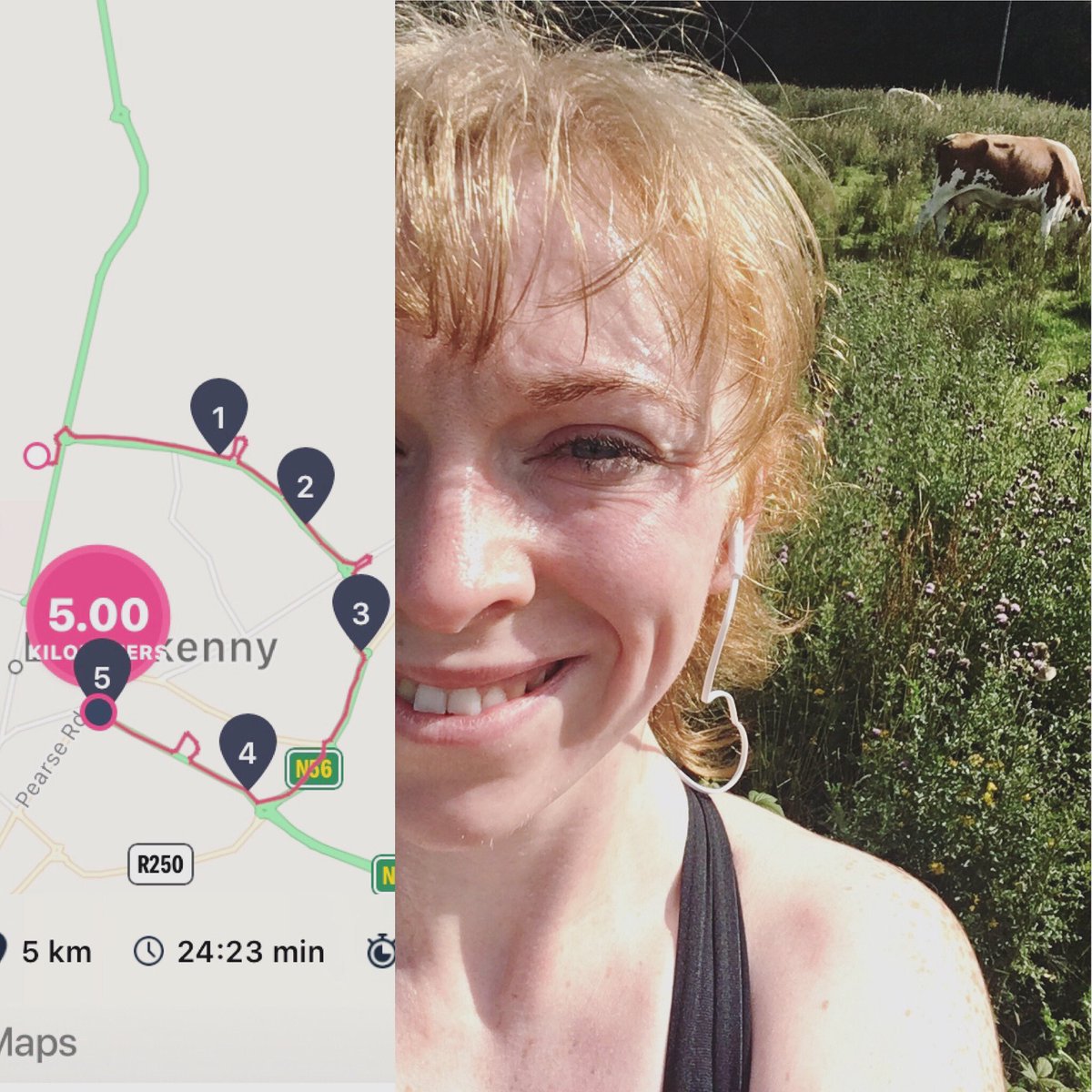 Teatania's tweet photo. Sup cow.
Sunday morning #5kunder25 πββοΈ
Surprised my calves let me move at all today.
Keeping at it no matter where you are. The beauty of a wee run.
#290km of #lockdown πͺπ»
#running #sundayrunday #5k #moocow #ouchmycalves #runinthesun #morningrun #runforMaggie @HelpingHandRBH https://t.co/XCkZ7yGuKJ