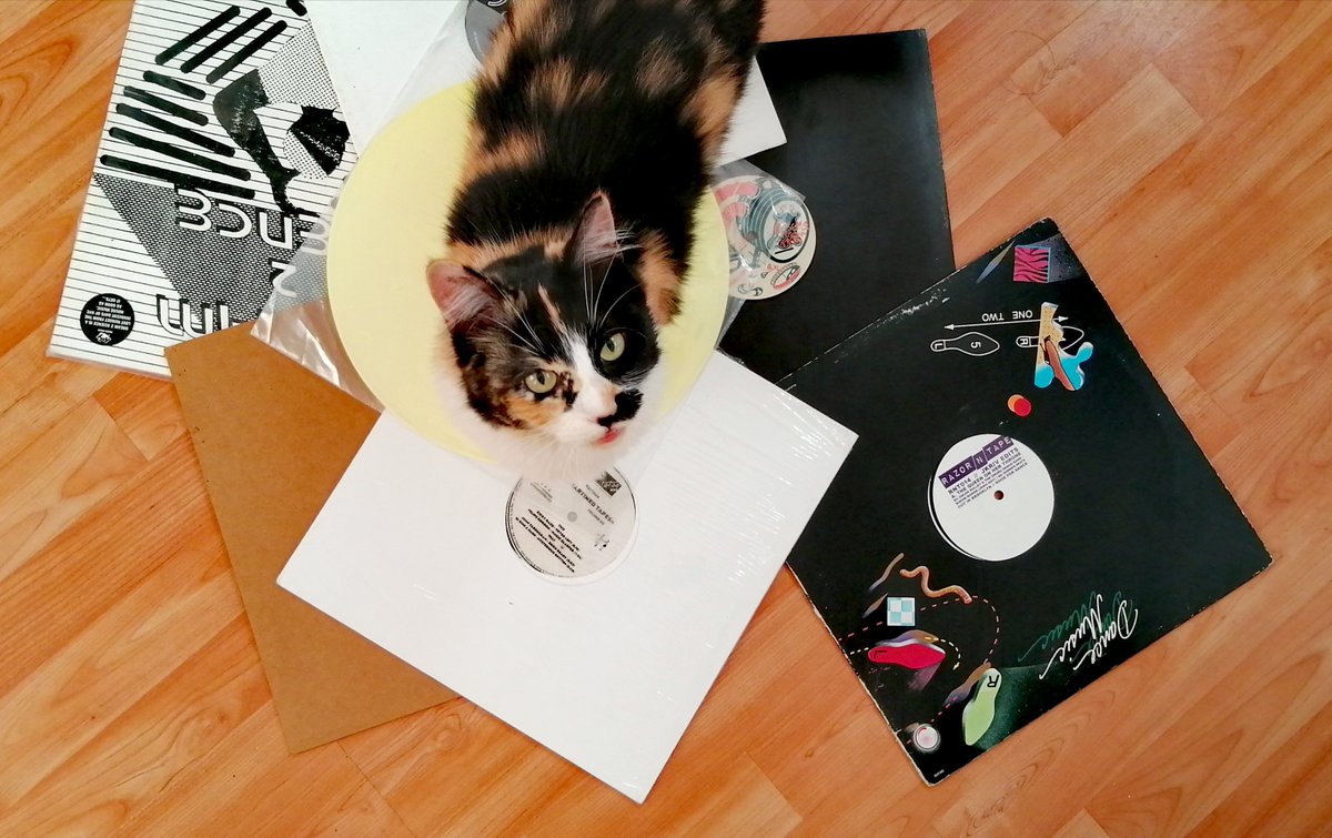 GladysPalmera's tweet photo. "Este es un set de mi colección en vinilo que con mucho cariño he seleccionado para ustedes", dice Hously, nuestra invitada de hoy vía @vinilerasmx. "Está inspirado en @deep, @house, @jazz, #nudisc, así como las labels de cada uno".

https://t.co/HZwWZwDLb0 https://t.co/9Tjs2n1IdN