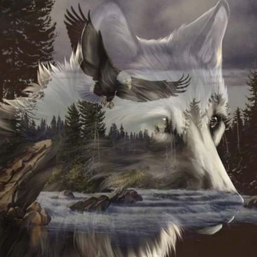 gladhill_in's tweet photo. "The Beauty Of The Wolf" https://t.co/YOwFaaeARK