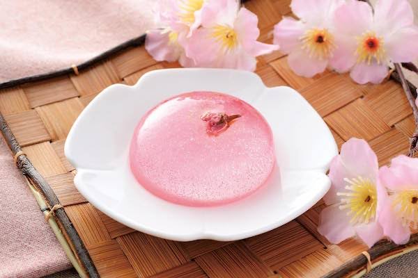 Cutest_Account's tweet photo. #RainDropCake #Japan https://t.co/URGJx250yP