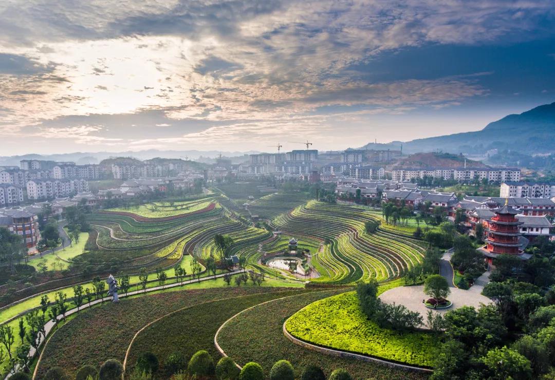 VivreauGuizhou's tweet photo. Dans le comté de #Dafang (ville de #Bijie, province du #Guizhou), il y a une destination touristique bien connue : le bourg ancien de #Shexiang, où vous trouverez non seulement des villages idylliques avec un charme antique et des paysages pittoresques, tels que la mer de fleurs. https://t.co/cunePqoqqS