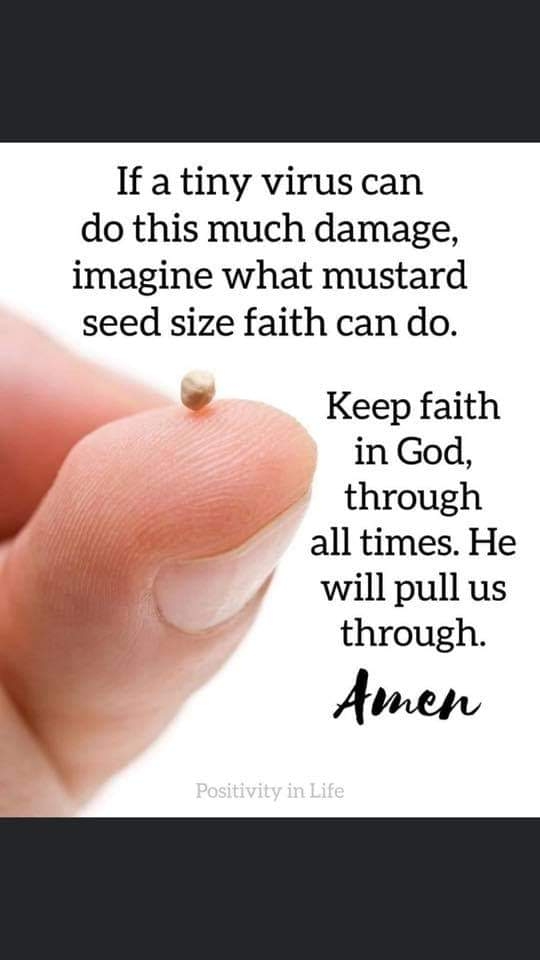 Sedserver's tweet image. Trust God...............Always!

#tiny virus...Big God #Trust