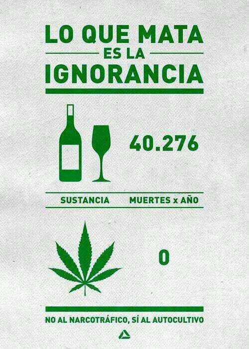 KatheMirandaP's tweet photo. Presentaremos mañana proyecto de ley para la legalización de la marihuana en Colombia! https://t.co/cYZMchNnE7