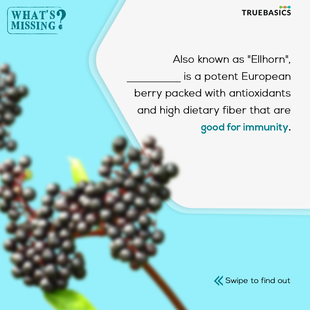 TrueBasics_IN's tweet photo. Elderberry can help you ace your immunity game! It is full of essential nutrients like Vitamin A, Vitamin C, Folate, Calcium and Iron that help in the smooth functioning of our immune system. Can you name another fruit or vegetable that has the same nutrients? 
#TrueShield https://t.co/DtPFoqQo7A