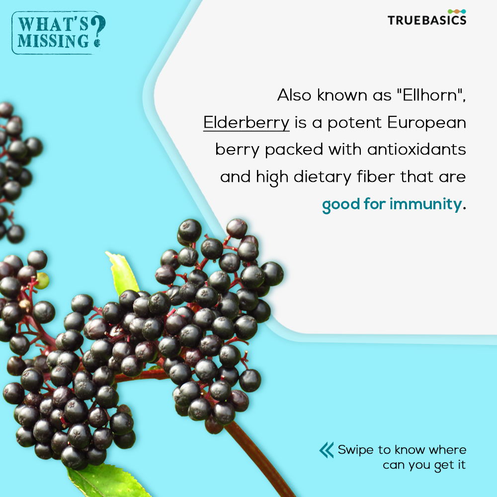TrueBasics_IN's tweet photo. Elderberry can help you ace your immunity game! It is full of essential nutrients like Vitamin A, Vitamin C, Folate, Calcium and Iron that help in the smooth functioning of our immune system. Can you name another fruit or vegetable that has the same nutrients? 
#TrueShield https://t.co/DtPFoqQo7A