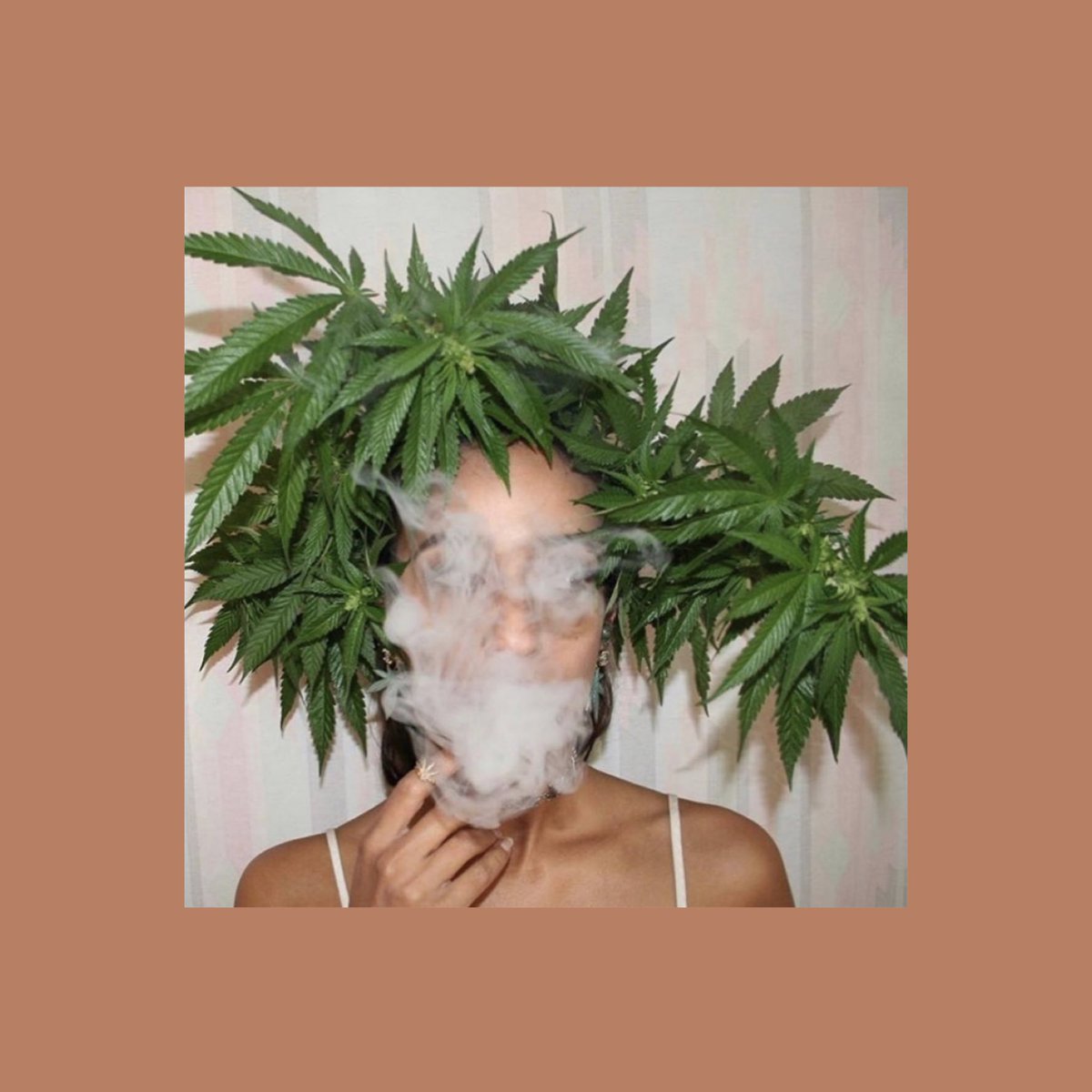 VeronaOffice's tweet photo. We believe in the power of the Cannabis plant. We recognize the opportunity of being part of a new industry, better than any other, aiming for more equality, social justice, health and wellness, quality of life, and pushing progress forward for ALL. 📷: @sativaball https://t.co/dd7Ib7SOIr