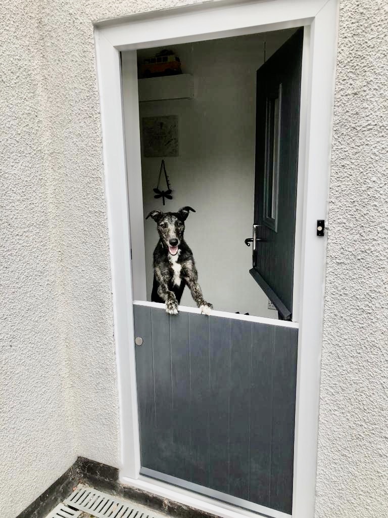 grandentrances's tweet photo. One of our stable door products modelled by the beautiful Sid, we are unable to supply a lurcher with each door fitted sadly ๐
#lurcher #stabledoor #compositedoor #theprofixgroup #homeinspo #countryliving #doors #dogsofinsta #home #homeimprovements #lurchersofinsta #frontdoor https://t.co/guheypNH8M