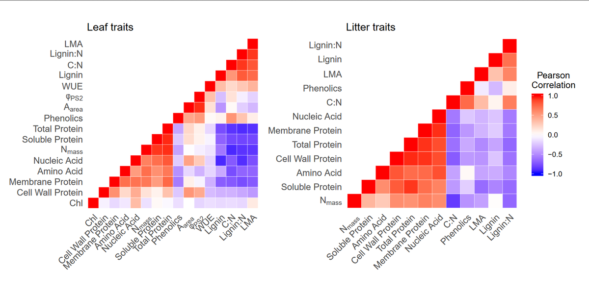 Oikos_Journal's tweet photo. Accepted: Rosenfield et al: Leaf traits can be used to predict rates of litter decomposition

 https://t.co/1abShYpwR9
@wileyecology @NordicOikos #leafnitrogen #Lignin #plant #functionaltraits https://t.co/T4t25D9XVa